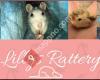 Lillys Rattery