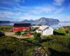 Lofoten Ocean View