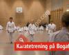 Lura Karateklubb Avd. Bogafjell
