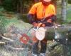 M.Kopperstad Trefelling
