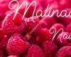 Malinaa Nails