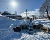 Manawa (Dog Sledding)