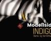 Modeller for Indigo