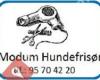 Modum Hundefrisør