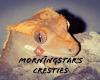 Morningstar Cresties