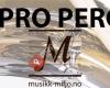 Musikk-Miljø Pro Perc
