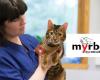 Myrbø Dyreklinikk As