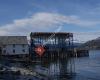 Nessebua ved Foldvik Brygge