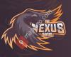 Nexus Ravens