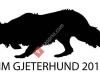 NM Gjeterhund2016