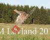 NM-Lavland