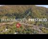 Prestalio Tomtefelt