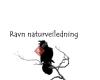 Ravn naturveiledning