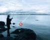 Recreational Fishing Alliance - Norge