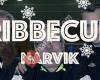 Ribbecup Narvik