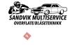 Sandvik Multiservice