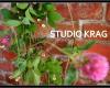 Studio Krag