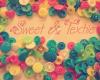 Sweet & Textile