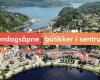 Tvedestrand By