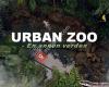 Urban Zoo Bergen AS