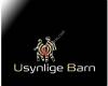 Usynlige Barn