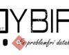 Ybif-IT Support UB